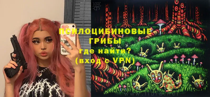 хочу   Волгореченск  Галлюциногенные грибы Psilocybe 